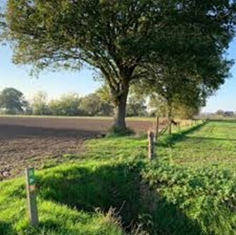 natuurwandeling-de-nieuwe-warande-en-zwaluwen-bunders