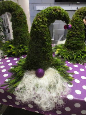 tomte