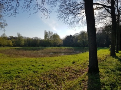 wandeling-noorderbos